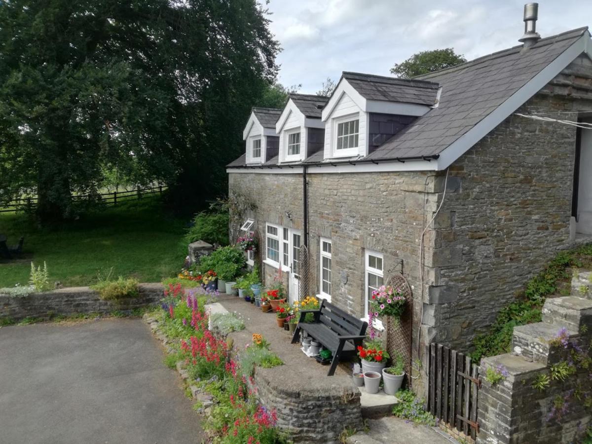 Swansea Valley Holiday Cottages Cilybebyll Экстерьер фото